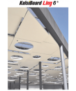 KalsiBoard LIng 6